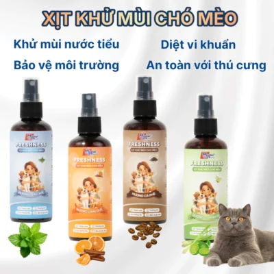 Mẹo đánh bay mùi khai nước tiểu chó mèo và trả lại không gian sống thơm tho cho gia đình